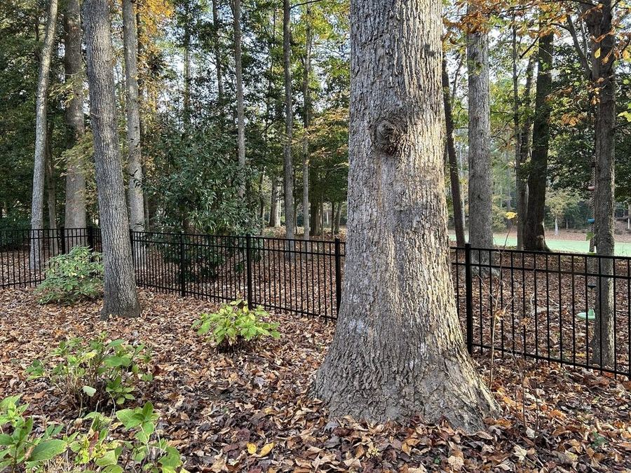 Black aluminum fence installed along the front yard of a residential property