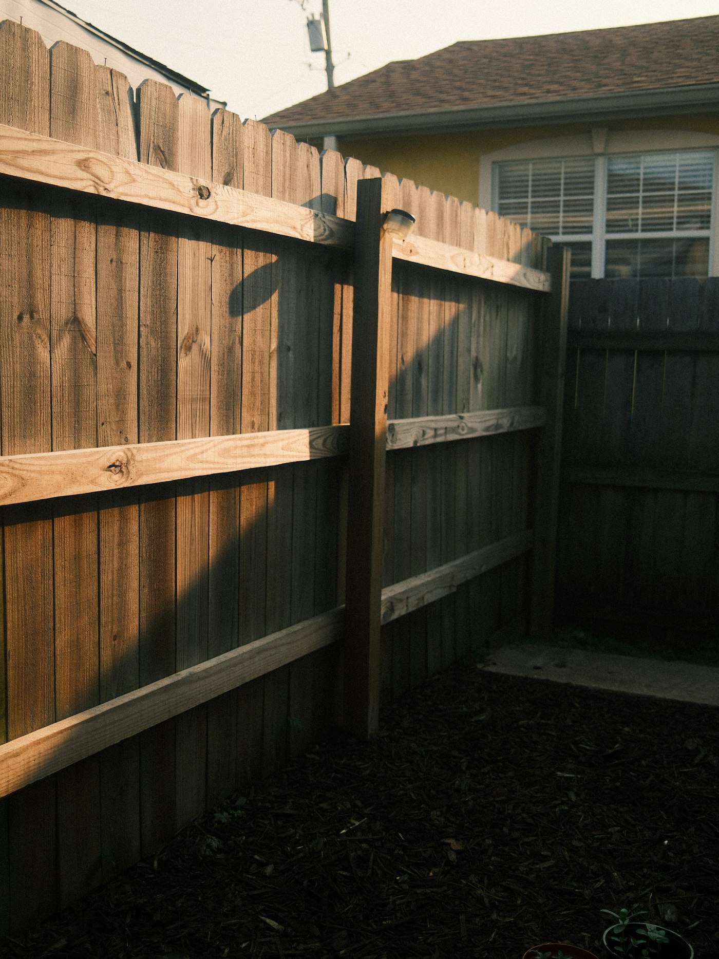 Wood privacy fence bathed in warm evening golden hour light