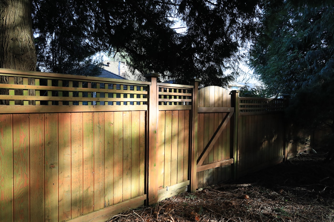 Wood fence gate on a sunny day showing hardware and latch detail